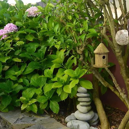 Gangu Turisticos Apartment Suances