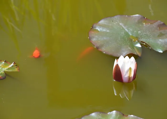 Apartment Gangu Turisticos Suances