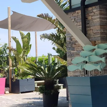 Gangu Turisticos Suances