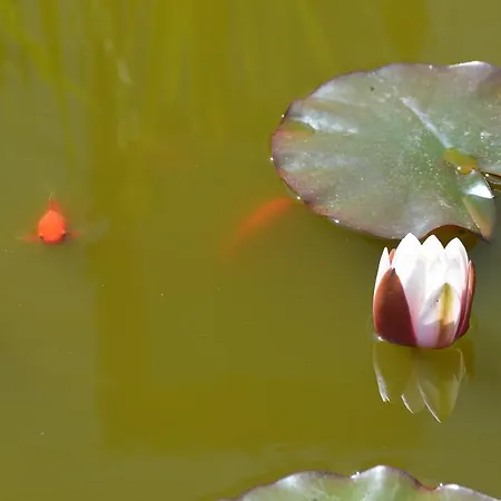 Appartamento Gangu Turisticos Suances