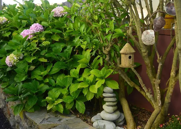 Gangu Turisticos Appartamento Suances